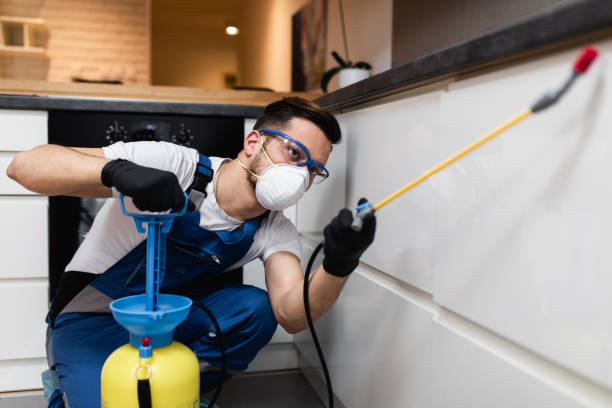 Best Mosquito Control Services  in Juneau, WI