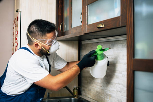 Best Pest Prevention Services  in Juneau, WI