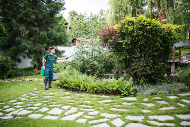 Best Ant Control Services  in Juneau, WI