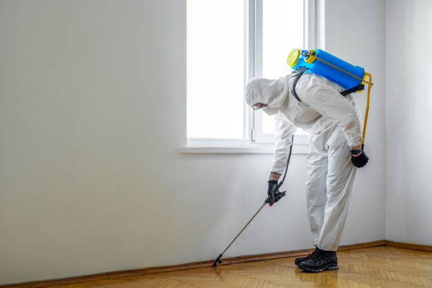 Flea Control Services in Juneau, WI