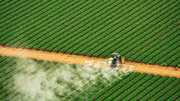 Best Commercial Pest Control Services  in Juneau, WI