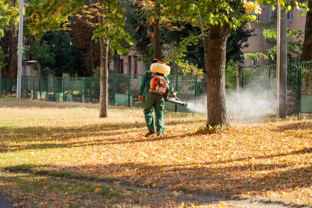 Best Emergency Pest Control  in Juneau, WI