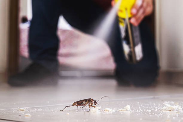 Trusted Juneau, WI Pest Control Experts
