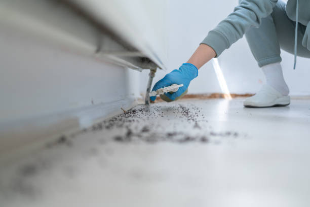 Best Exterminator Services  in Juneau, WI