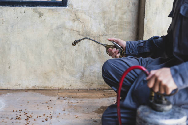 Best Affordable Pest Control Services  in Juneau, WI
